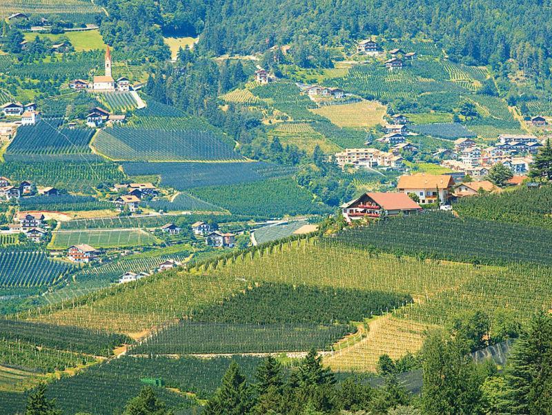 Pension Zum Burggraefler Schenna Zewnętrze zdjęcie